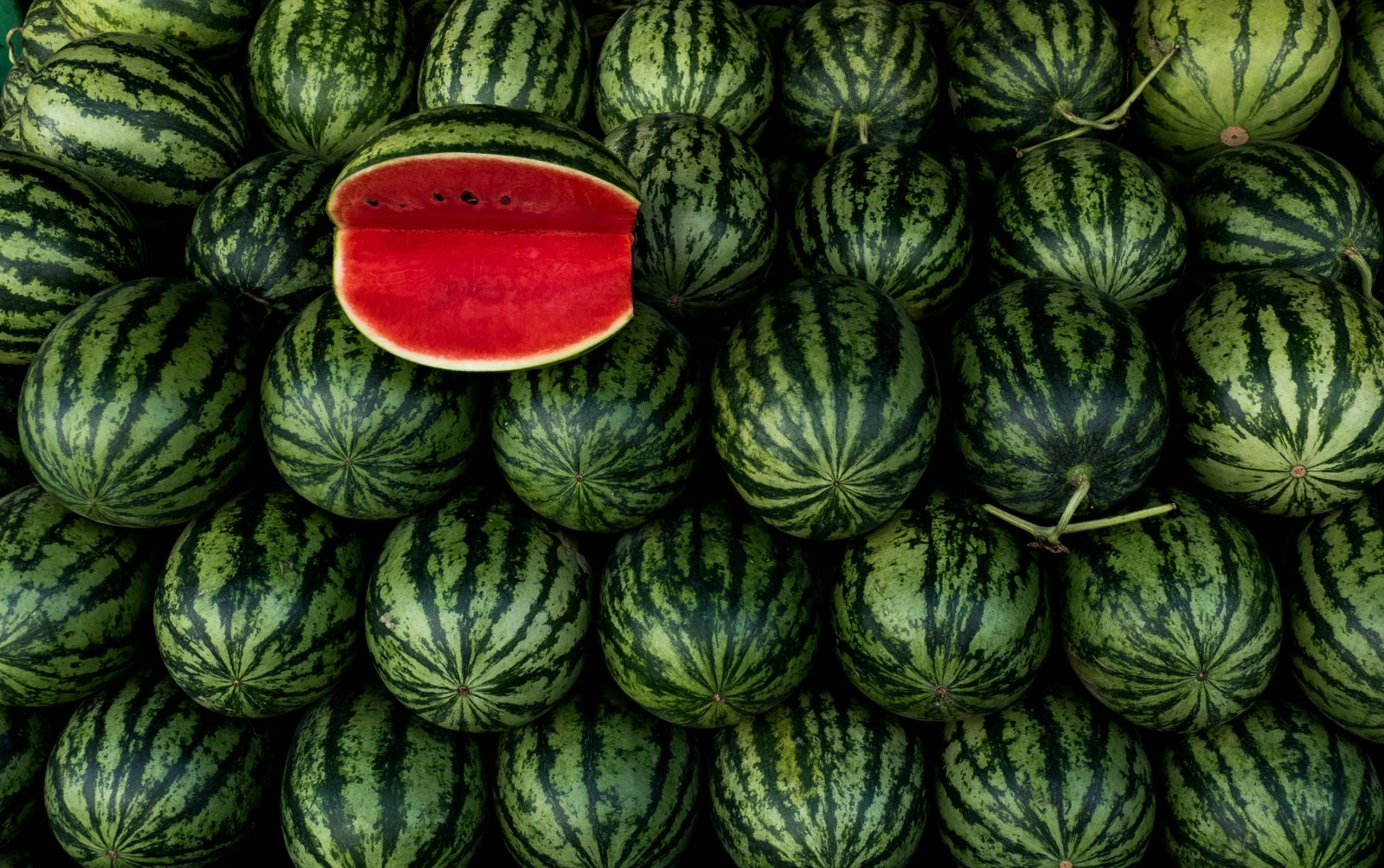 Watermelon